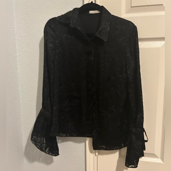Alice and Olivia Velvet Burnout Blouse - Picture 1 of 4